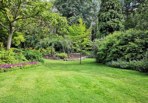 Optimiser l'expérience du jardin à Crandelles