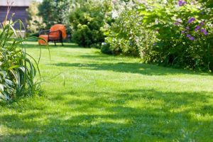 travaux jardin et paysage Crandelles